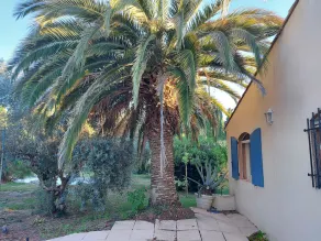 Mas of 150 M2 Saint Rémy de Provence, large swimming pool on well wooded land.. - Image 5