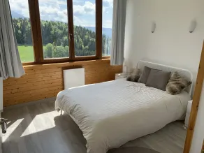 Large T5 mountain view apartment at the foot of the slopes - Image 3