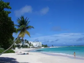 See, Feel, Experience Barbados - Image 3