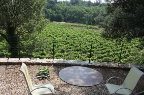 Studio 5 in a charming building, swimming pool in the middle of vineyards - Image 5