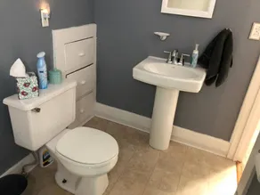 Welcome Home (+ your pup) MSU 2 mi - Image 3