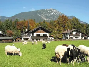 Frühholz—The Vacation Home, 5-Star \"Wank\" Apartment in Grainau & Shared Garden - Image 1