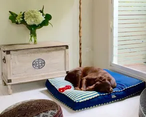 SALT COTTAGE - Pet Friendly, Stylish Holiday Home - prime beach location - Image 2