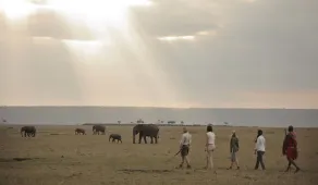 Elewana Elephant Pepper Camp - Image 4