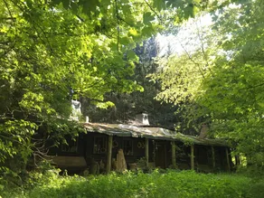 Vacation apartment \"Igelstübchen\" in the Wild Auwaldhaus, Zittauer Gebirge - Image 5