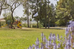 Tal Shahar Zimmers - Image 3