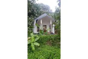 Wayal Wayanad Twin villa amidst green - Image 5