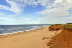 Blue Beach House - Walk to beach, AC, newly renovated, family approved! - Image 5