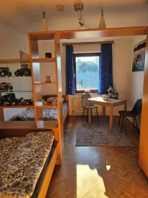 Este apartamento está situado en los Alpes, junto a las pistas de esquí y los lagos de montaña. - Image 5