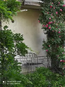Vacation apartment \"THE CYPRESS\" - Image 5