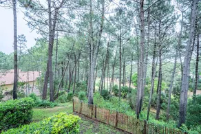Residence Lacanau Les Pins - maeva Home - Image 4