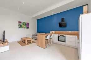New, quiet, comfortable 3-star Meublé de Tourisme apartment. - Image 5