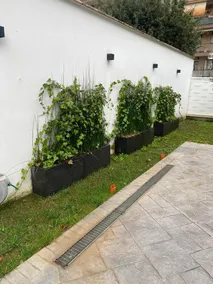 Grey House Guest House Luxury - Image 4