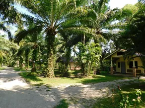 057 resort - Image 5