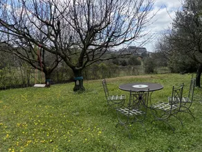 L’Olivier - Image 5