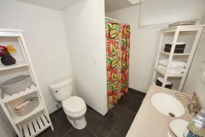 Cozy Mystic 1BR Apt. Minutes from Water, Nature & Downtown Mystic - Image 2