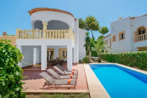 0303 - CIRUELA - Image 3