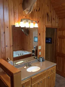Beautiful Cedar Cabin Connection on Lake Hamilton - Image 4