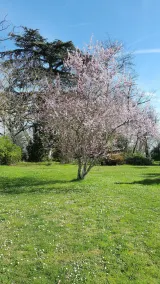 IRIS room 1 to 2 people at the Gîte de Pères - Image 4