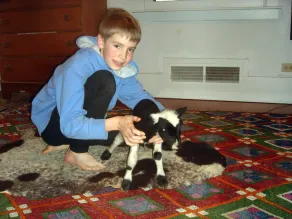 Pocahontas County Working Sheep Farm - Image 3