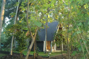 Deluxe bungalow with free airport pickup - Image 4