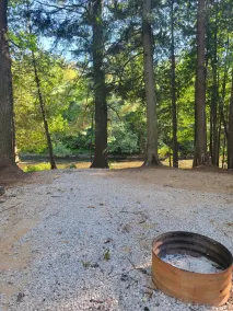Bings Bearadise Cabin 35 min. from Pictured Rocks on the Manistique River - Image 4