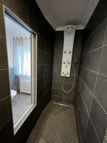 Exclusive vacation apartment 200 sqm - Only 10 minutes to Heidelberg city center - Image 4