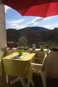 Domaine du Figuier \" La Cigale\" in former winery, cozy. Apartment for 2 per - Image 4