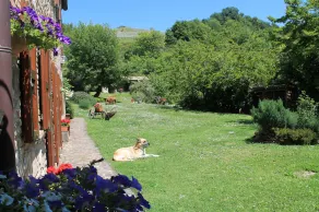 In the farmhouse romantic flat for 2 persons. Panoramic view! - Image 4