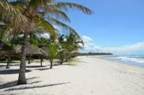 DIANI LUXURY Diani Beach - Image 3