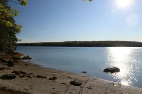 Hobby Horse - Rustic Maine Cabin, Ocean Access 22 miles from Acadia Nat'l Park - Image 3