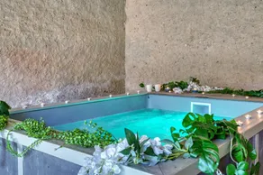 Crazy Villa Le Petit Belair 18 - Heated pool - Foot - 2h Paris - 30p - Image 3