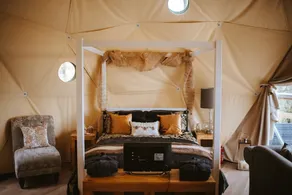 The Tree Dome - Retraite luxueuse de glamping - Image 5