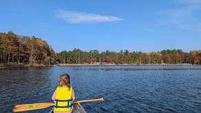 Luxurious Northwoods Log Lake house with over 500ft of lake frontage on 15 acres - Image 4