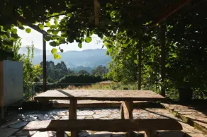 Vieiro Verde 2 Rustic - Image 5