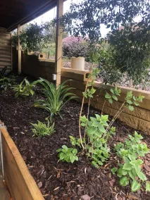 Rockridge, apartment pet friendly semi rural farm stay Set amongst tall gums - Image 5
