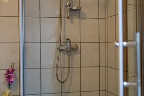 Beautiful apartment Stela with private heated pool and whirlpool - Image 4