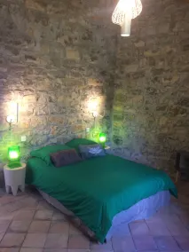 l'oiseau vert design - Image 3