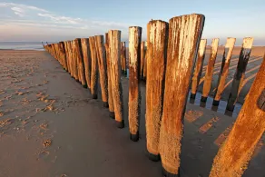 400 meter fra stranden nye luksus sommerhus Oostkapelle - Image 4
