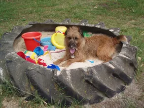Farm guesthouse in the Lüneburg Heath, located at the NSG, dog by arrangement - Image 3