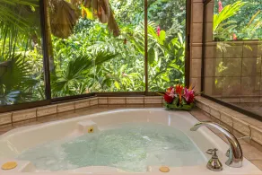 Spectacular Ocean Views and Sunsets, Large Private Secluded Property! - Image 4