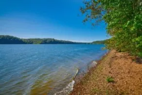 Cottage on Cypress Bay near Paris Landing State Park - Image 4