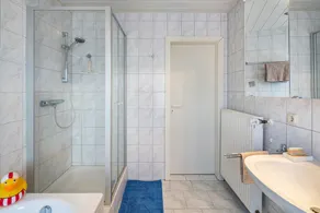 Sandhasen - Image 3