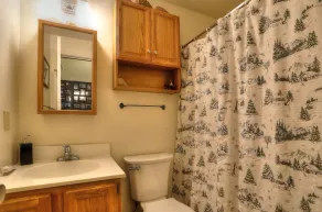 Saddleback - White Birch 74 - GREAT ski-in/out - Image 3