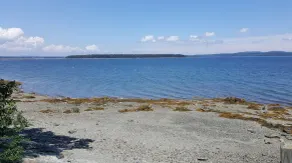 SeaScape-Trenton Oceanfront very close to Acadia Nat'l Park in tranquil setting - Image 4