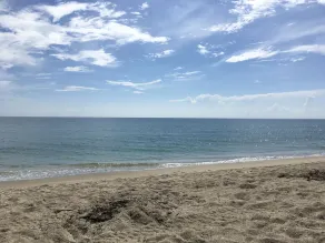 Beach Front Condominium on the beautiful Florida Atlantic Coast - Image 4