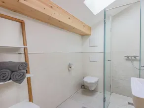 Holiday home with 3 modern flats opposite ski lift - Image 5