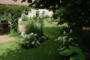COUNTRY PROPERTY ON THE EDGE OF FOREST AND VINEYARDS - Image 4