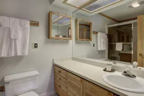 Ski in/Ski Out 100 yards, Masive Views, On Shuttle Route, Hot Tub, Fireplace - Image 3