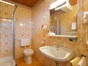 Studio, Dusche, WC, 1 Wohnschlafraum - Haus Friederike - Brunner Sylvia - Image 2